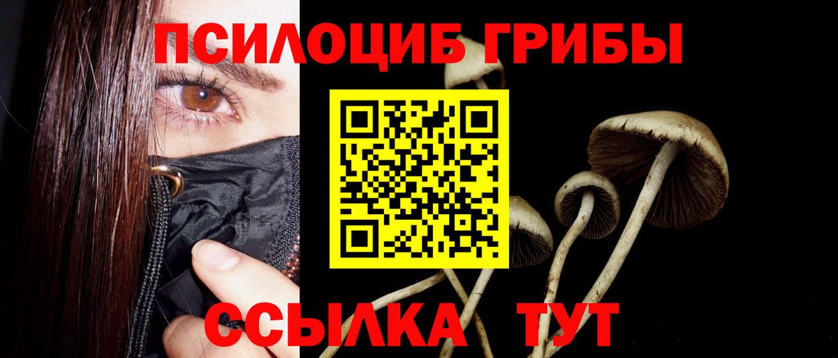 Галлюциногенные грибы Psilocybe  Вход с VPN  Видное 