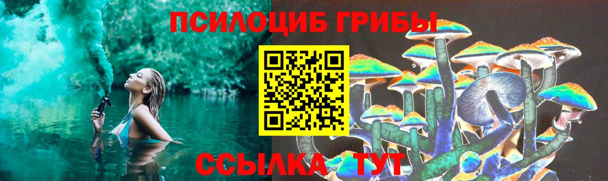 Псилоцибиновые грибы GOLDEN TEACHER Видное